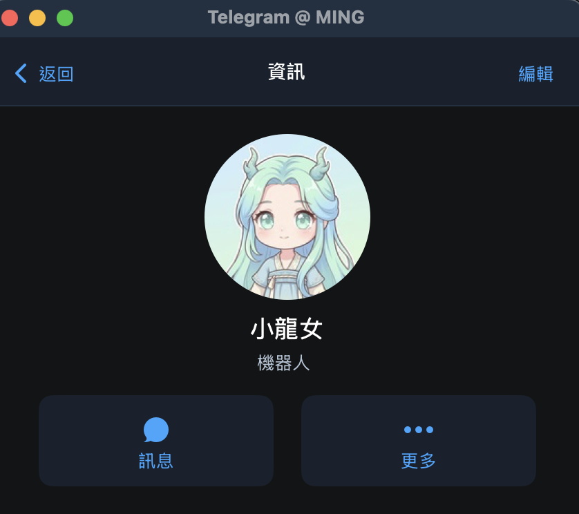小龍女 Telegram 對話